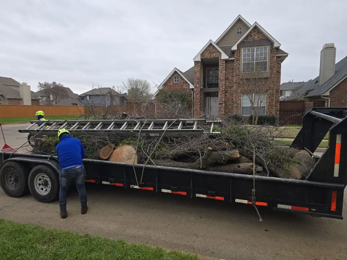 Expert Lot Clearing with proper safety equipment in Stuarts Draft